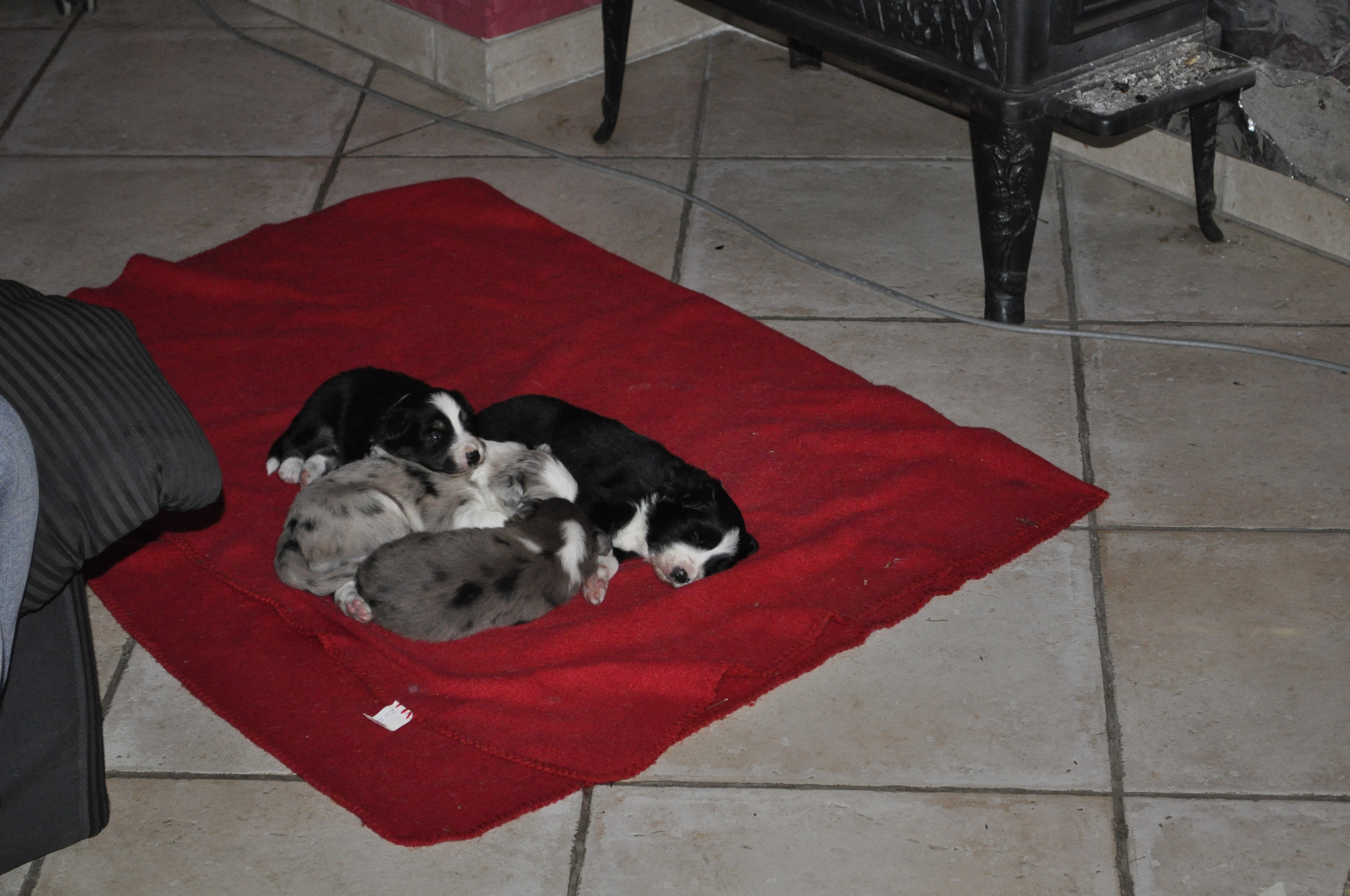 20111226 kay met broers en zusjes