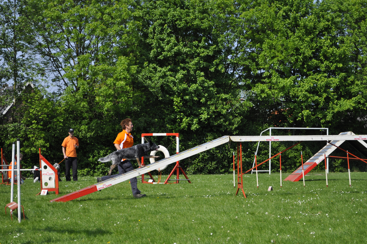 _DSC2083.JPG