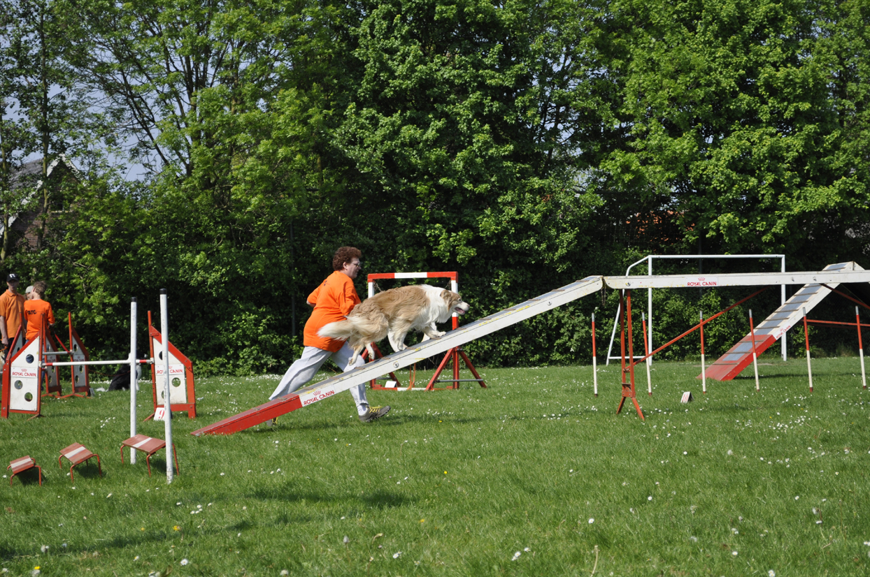 _DSC2106.JPG