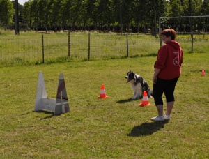 View the album Puppydag 20110522